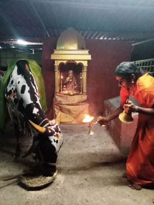 WhatsApp Image 2022-03-15 at 19.29.44 (1).jpeg