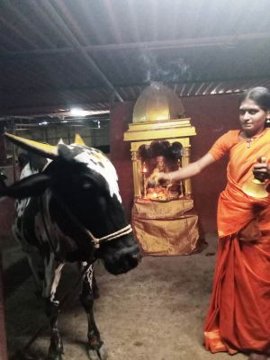 WhatsApp Image 2022-03-15 at 19.29.45.jpeg