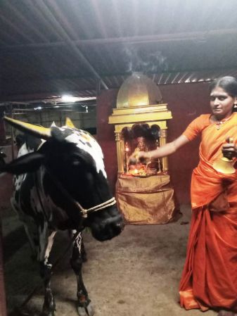 WhatsApp Image 2022-03-15 at 19.29.45.jpeg