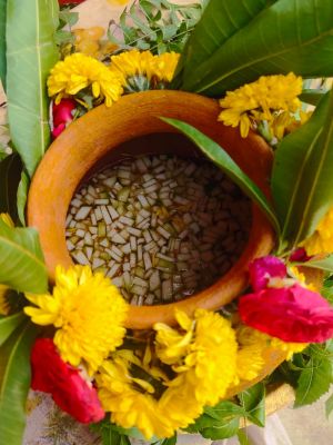 WhatsApp Image 2022-04-02 at 16.31.51.jpeg