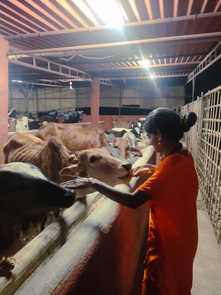 File:WhatsApp Image 2022-04-02 at 20.04.04.jpeg