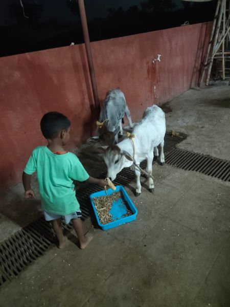 File:WhatsApp Image 2022-04-02 at 20.04.04 (1).jpeg