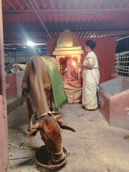 File:WhatsApp Image 2022-04-02 at 20.04.09.jpeg