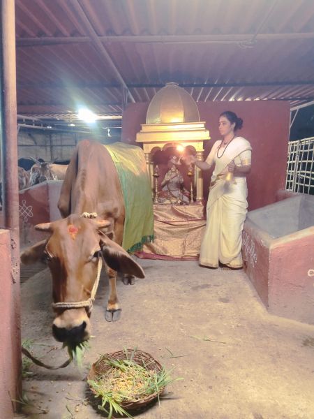 File:WhatsApp Image 2022-04-02 at 20.04.10 (1).jpeg