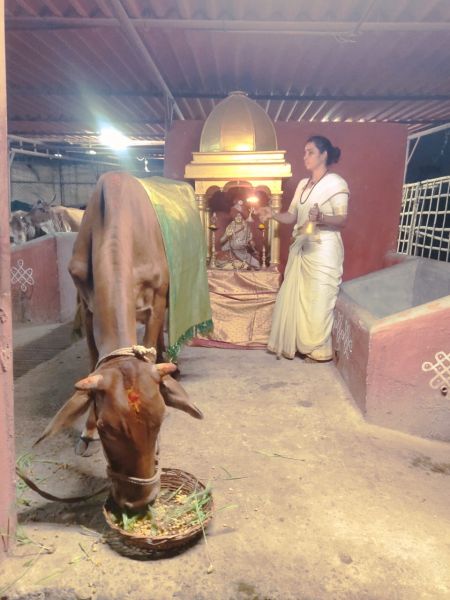 File:WhatsApp Image 2022-04-02 at 20.04.10 (2).jpeg