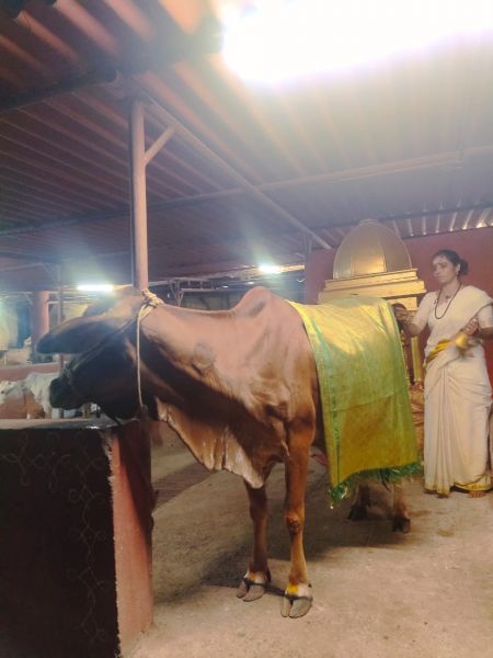 File:WhatsApp Image 2022-04-02 at 20.04.11.jpeg