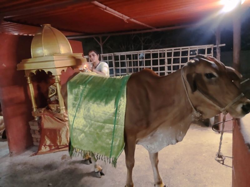 File:WhatsApp Image 2022-04-02 at 20.04.11 (1).jpeg