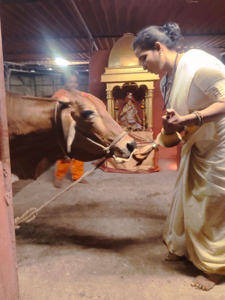 File:WhatsApp Image 2022-04-02 at 20.04.11 (2).jpeg