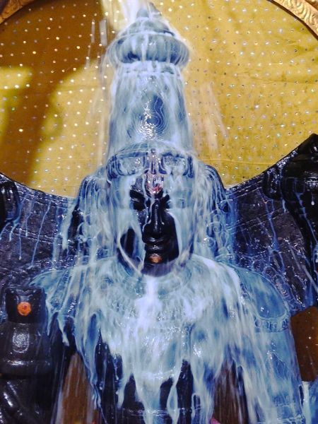 File:WhatsApp Image 2022-04-02 at 20.26.56.jpeg