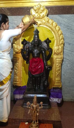 WhatsApp Image 2022-04-02 at 20.26.59.jpeg