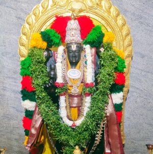 WhatsApp Image 2022-04-02 at 20.30.12.jpeg