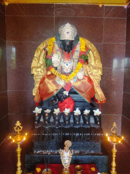 File:WhatsApp Image 2022-04-03 at 11.43.59 (3).jpeg