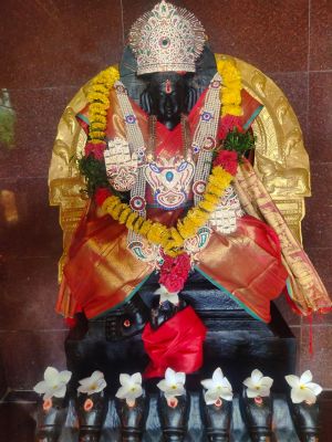 WhatsApp Image 2022-04-03 at 11.44.00.jpeg