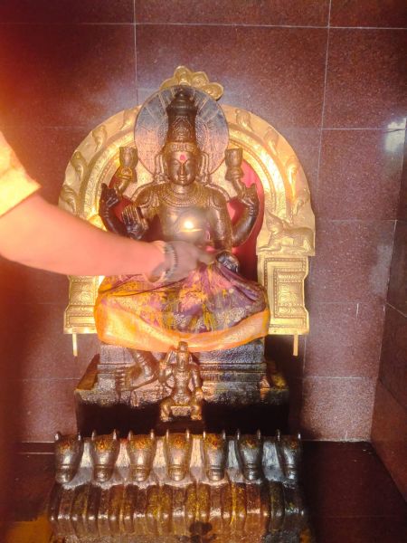 File:WhatsApp Image 2022-04-03 at 11.53.41 (2).jpeg