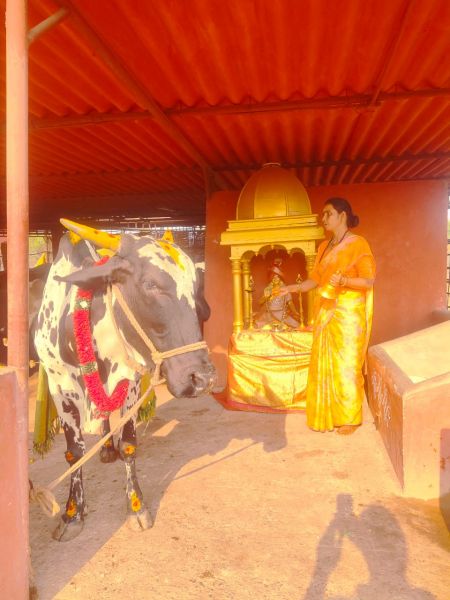 File:WhatsApp Image 2022-04-03 at 12.01.05.jpeg