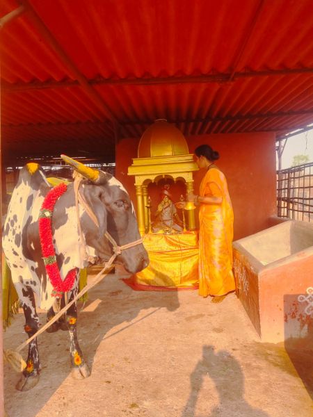 File:WhatsApp Image 2022-04-03 at 12.01.08.jpeg