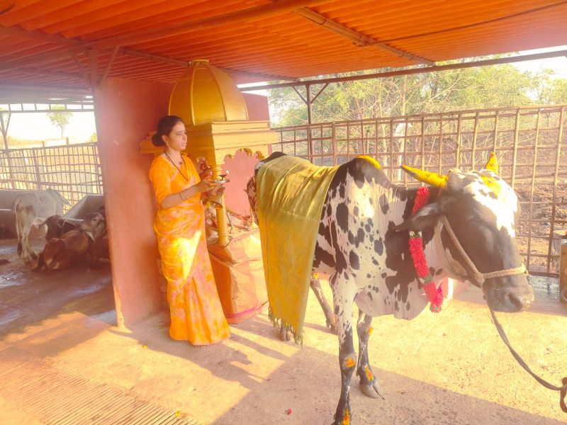 File:WhatsApp Image 2022-04-03 at 12.01.09.jpeg