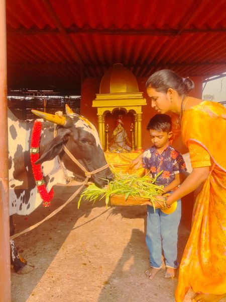 File:WhatsApp Image 2022-04-03 at 12.01.09 (1).jpeg