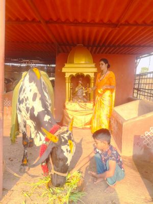 WhatsApp Image 2022-04-03 at 12.01.11.jpeg