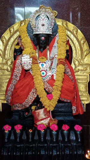 WhatsApp Image 2022-04-24 at 12.52.55 PM.jpeg