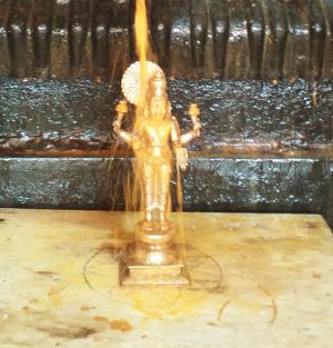 WhatsApp Image 2022-04-24 at 3.29.21 PM.jpeg