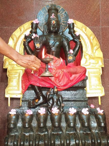 File:WhatsApp Image 2022-04-24 at 3.29.22 PM.jpeg