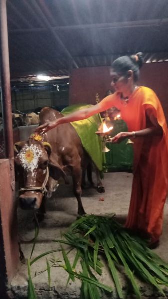 File:WhatsApp Image 2022-05-20 at 6.53.44 PM.jpeg