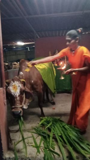 WhatsApp Image 2022-05-20 at 6.53.45 PM.jpeg