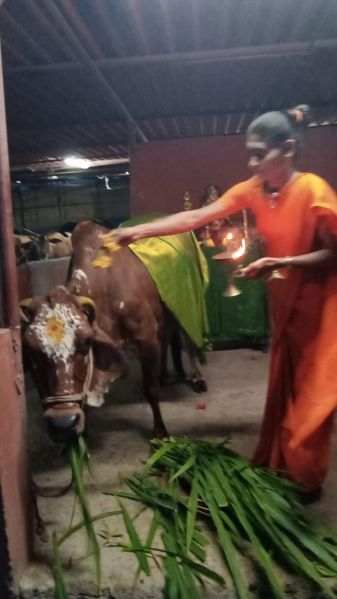 File:WhatsApp Image 2022-05-20 at 6.53.45 PM.jpeg