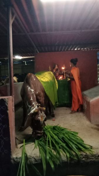 File:WhatsApp Image 2022-05-20 at 6.53.46 PM (1).jpeg