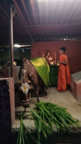 File:WhatsApp Image 2022-05-20 at 6.53.46 PM (2).jpeg