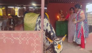 WhatsApp Image 2022-06-19 at 7.21.06 PM (1).jpeg