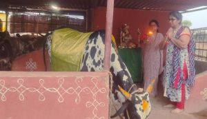 WhatsApp Image 2022-06-19 at 7.21.07 PM.jpeg