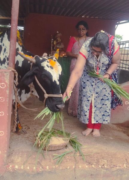 File:WhatsApp Image 2022-06-19 at 7.21.07 PM (1).jpeg