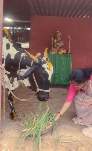 WhatsApp Image 2022-06-19 at 7.21.08 PM.jpeg