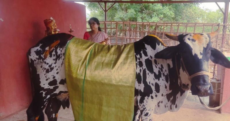 File:WhatsApp Image 2022-06-19 at 7.21.09 PM.jpeg