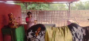 WhatsApp Image 2022-06-19 at 7.21.09 PM (1).jpeg