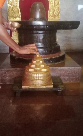 WhatsApp Image 2022-06-20 at 11.15.10 AM (1).jpeg