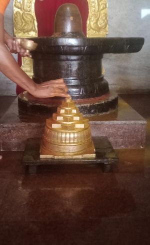 WhatsApp Image 2022-06-20 at 11.15.10 AM (1).jpeg