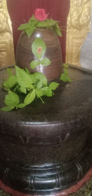 WhatsApp Image 2022-06-20 at 11.15.12 AM (2).jpeg