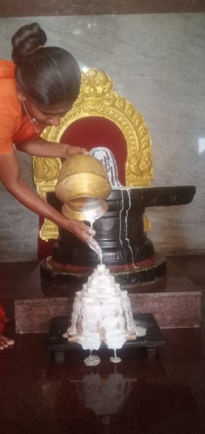 WhatsApp Image 2022-06-20 at 11.17.42 AM (1).jpeg