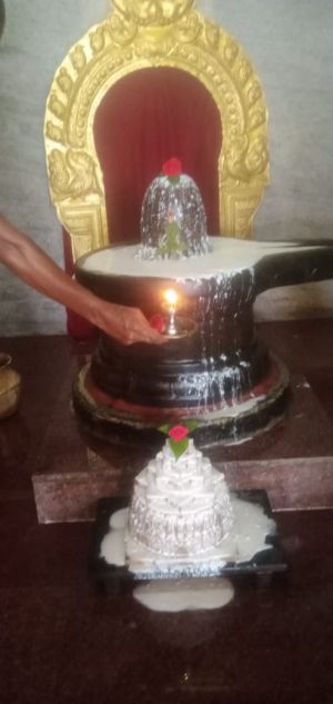 WhatsApp Image 2022-06-20 at 11.17.45 AM (1).jpeg