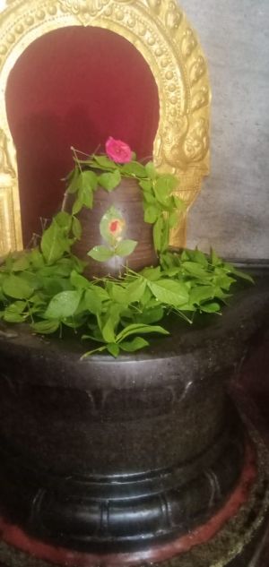 WhatsApp Image 2022-06-20 at 11.17.47 AM (1).jpeg