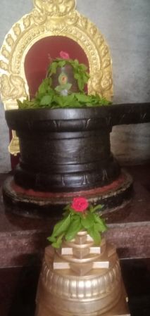 WhatsApp Image 2022-06-20 at 11.17.48 AM.jpeg