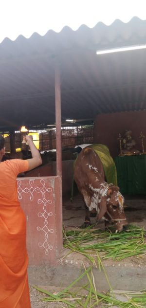 WhatsApp Image 2022-06-20 at 6.31.28 PM.jpeg