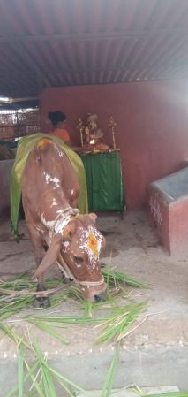 WhatsApp Image 2022-06-20 at 6.31.30 PM.jpeg