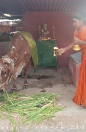 WhatsApp Image 2022-06-20 at 6.31.32 PM.jpeg