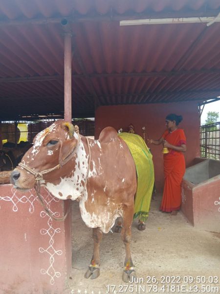 File:WhatsApp Image 2022-06-26 at 9.00.16 PM.jpeg