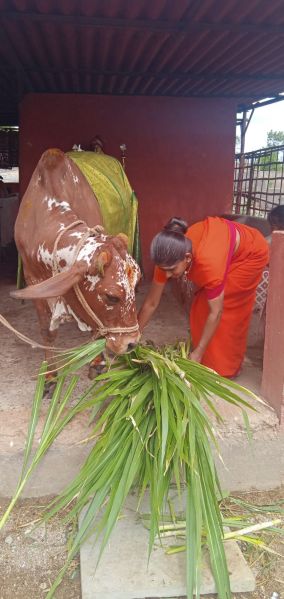 File:WhatsApp Image 2022-06-26 at 9.00.17 PM.jpeg