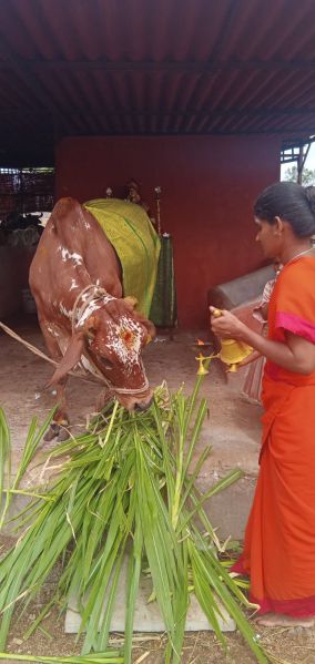 File:WhatsApp Image 2022-06-26 at 9.00.18 PM (1).jpeg